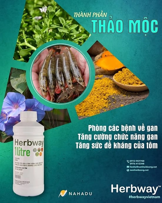 THẢO DƯỢC GAN CHO TÔM HERBWAY